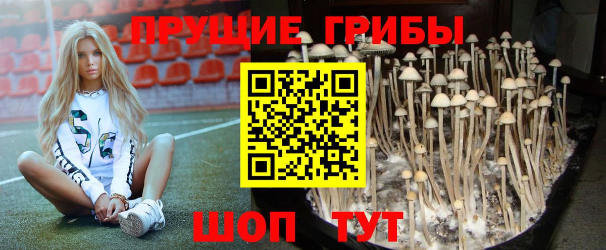Псилоцибиновые грибы мухоморы  Псилоцибиновые грибы Psilocybine cubensis  Вход с VPN  Уварово 